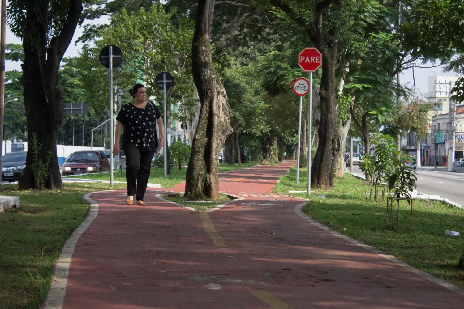 Interferências nas ciclovias atrapalham ciclistas, foto 4