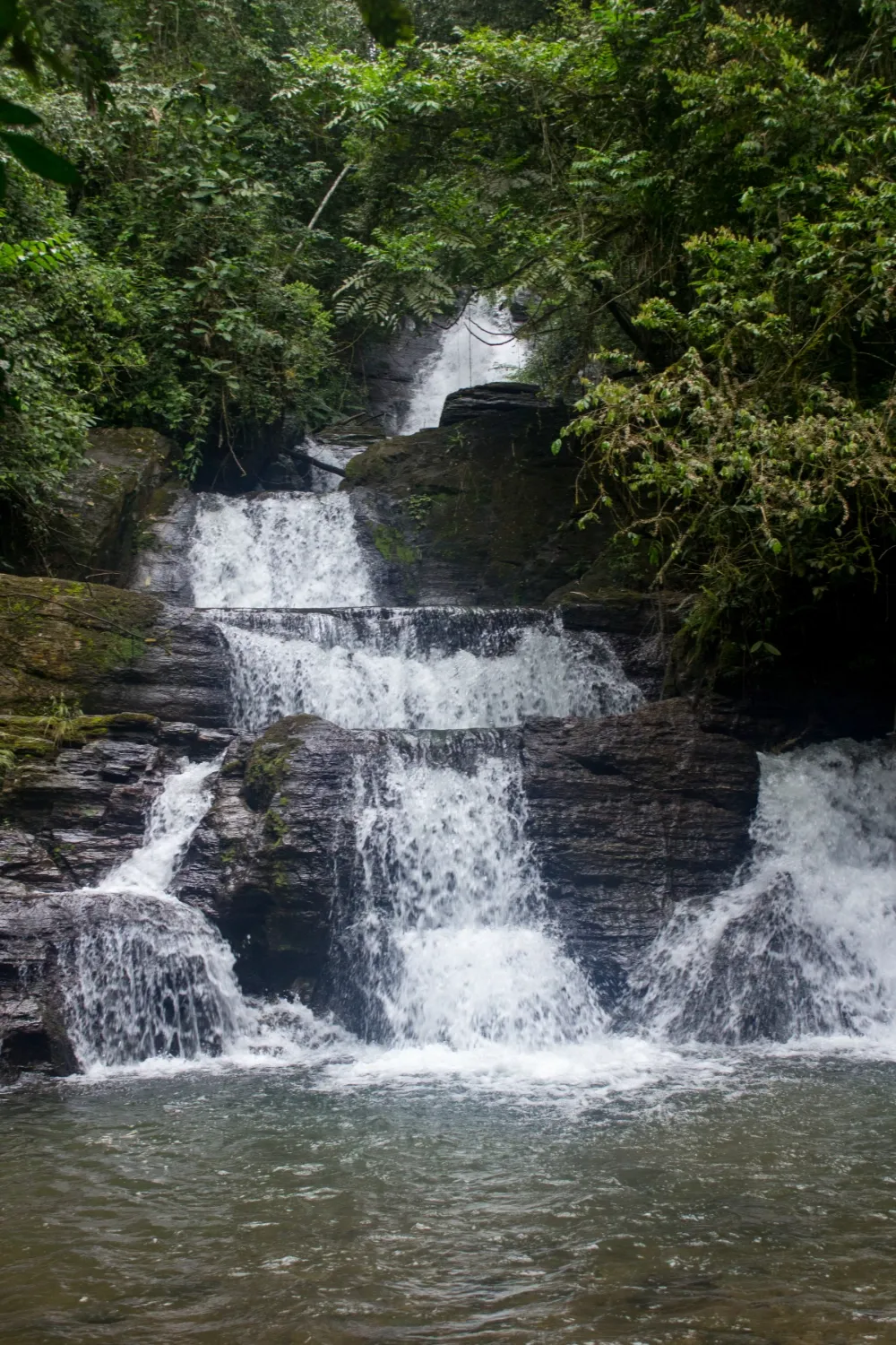 Viagem para Eldorado, foto 5