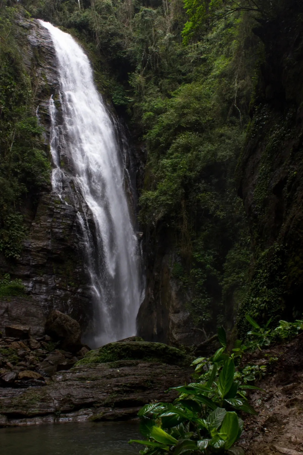 Viagem para Eldorado, foto 7