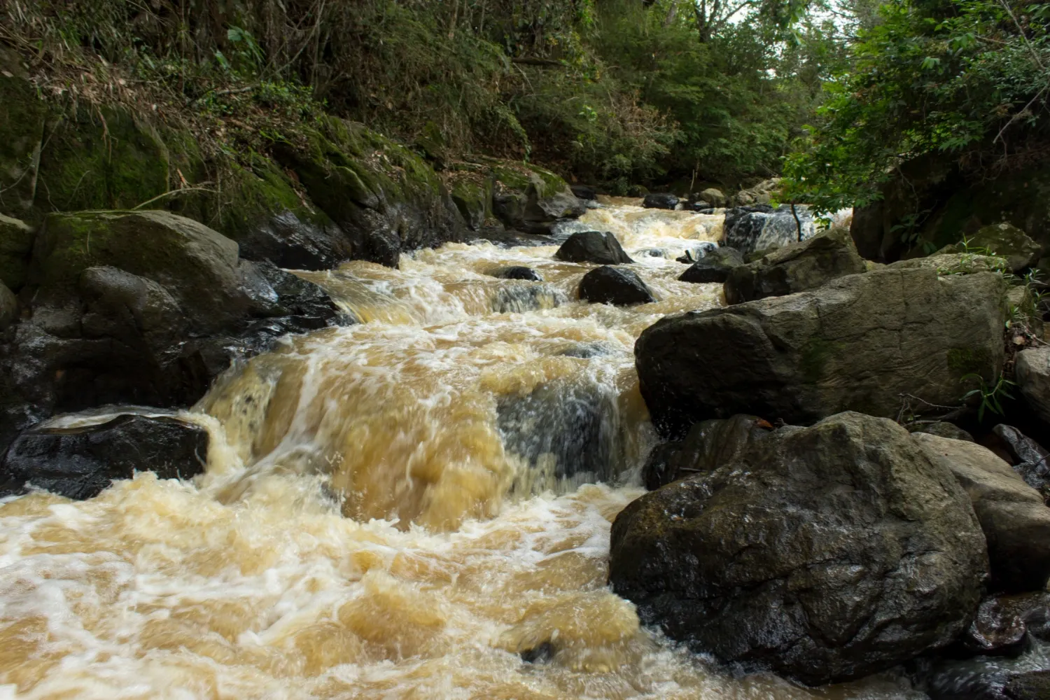 Visita a Bueno Brandão - MG, foto 1